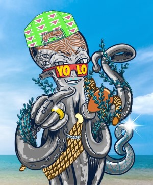 yolos: 213